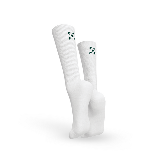 Шкарпетки Cash 2.0